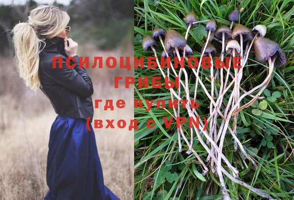 СК Туринск